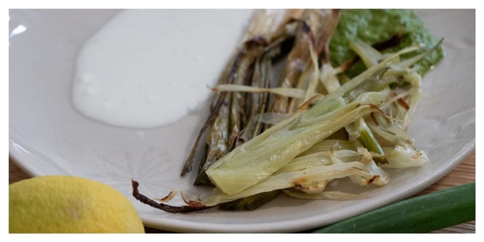 Tapas #8 - Lame ass fennel with funky ass fennel frond chimichurri